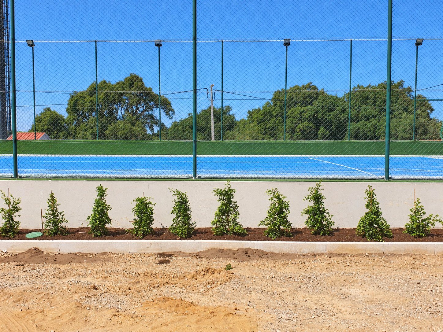 Planting along the sports court